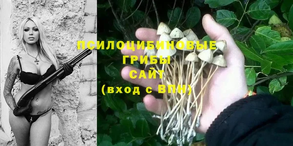 скорость Алексин