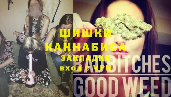 мдпв Нягань