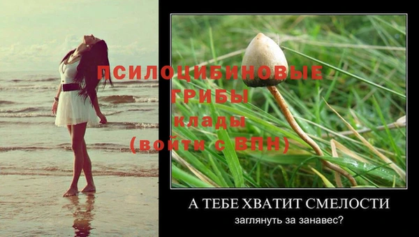 экстази Алексеевка