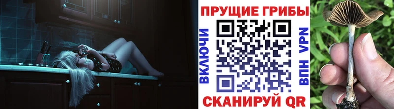 где найти   Полярные Зори  Галлюциногенные грибы прущие грибы 